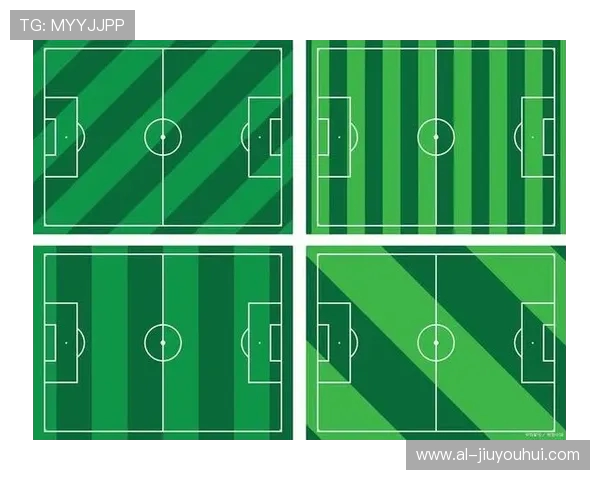 提高足球运动表现的关键：探索弹性更好的足球设计与应用